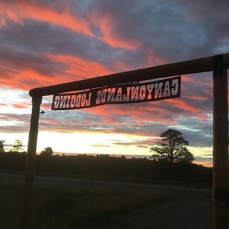 Lupine Cabin, Glamour Camping, Stunning Skies And Sunrise Views モンティセロ エクステリア 写真