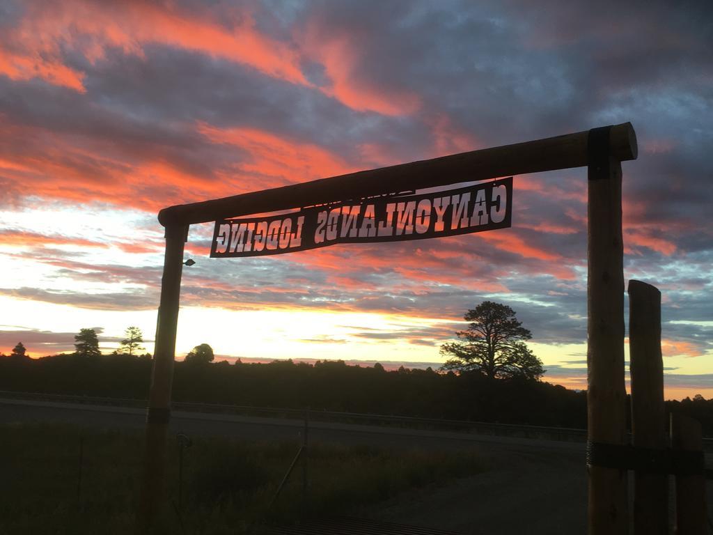 Lupine Cabin, Glamour Camping, Stunning Skies And Sunrise Views モンティセロ エクステリア 写真